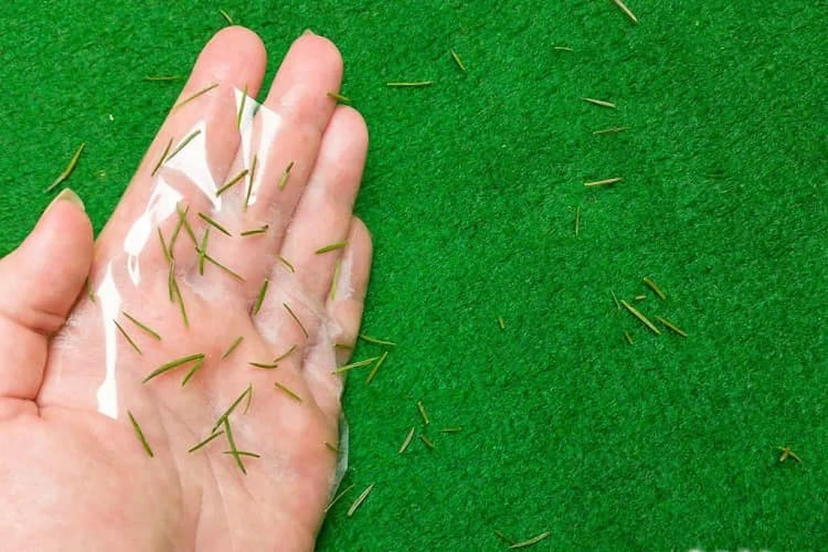 Proč zkušení Češi dělají po Vánocích jedinou věc: Páska vyčistí koberec od jehličí za 5 minut