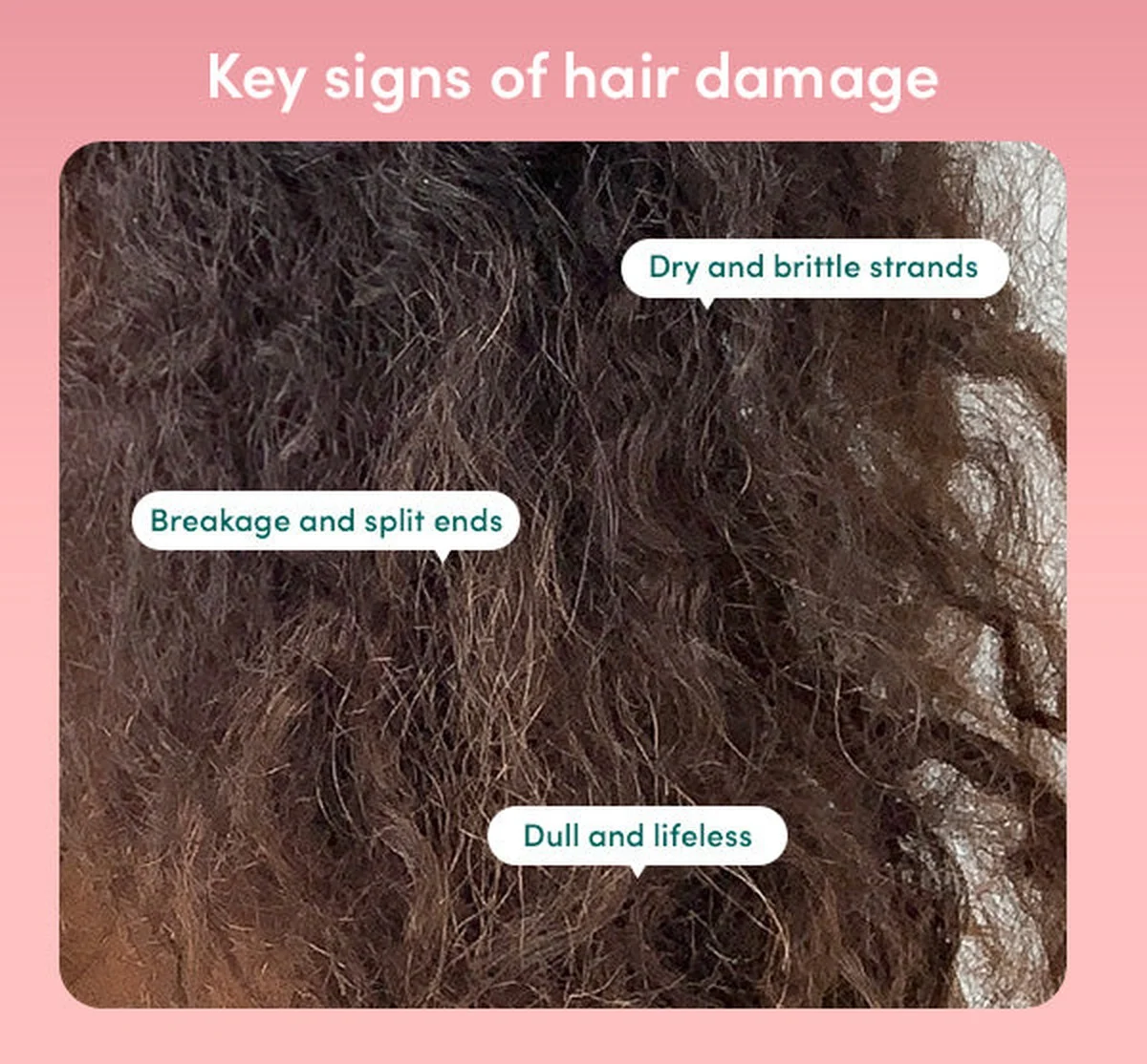 5 věcí z domácnosti, které nikdy nenechávejte volně uschnout. Jedna chyba ničí džíny i péřové bundy - image 1