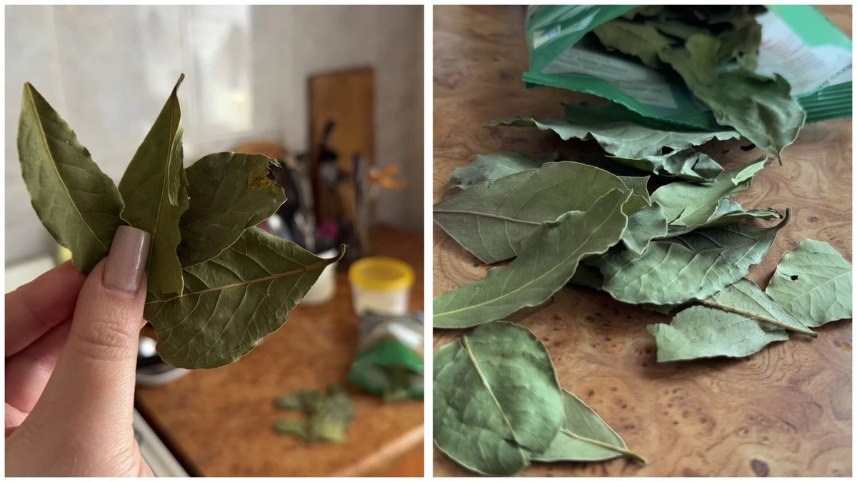 Забудьте про суп: 3 неочікувані способи використання лаврового листа, які полегшать життя