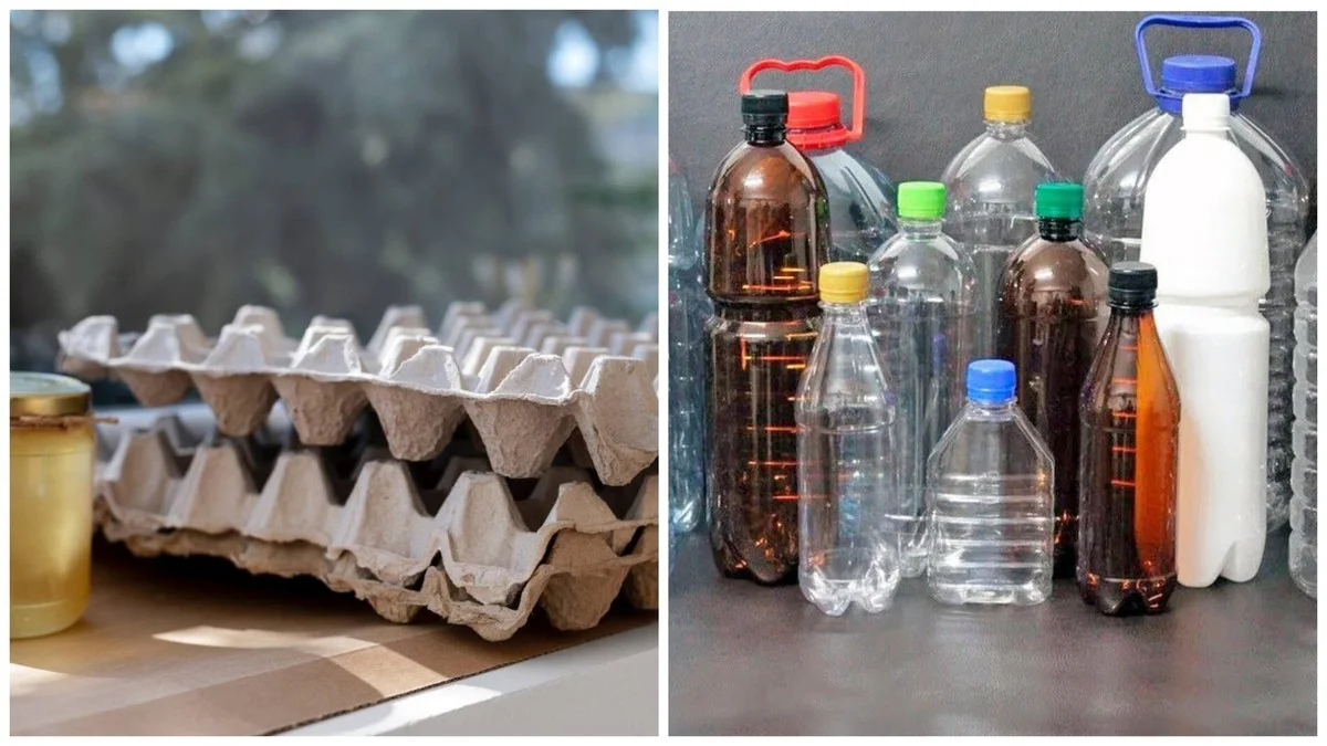 Забытые вещи в каждом доме: как пластиковые бутылки и лотки из-под яиц экономят тысячи