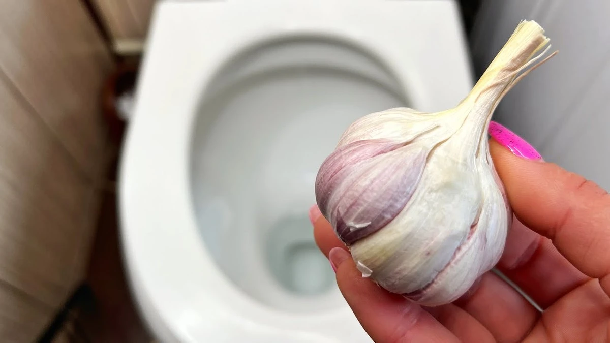 cesnekmistochem-extra-1.webp Česnek místo chemie: starý trik proti bakteriím v toaletě - image 1