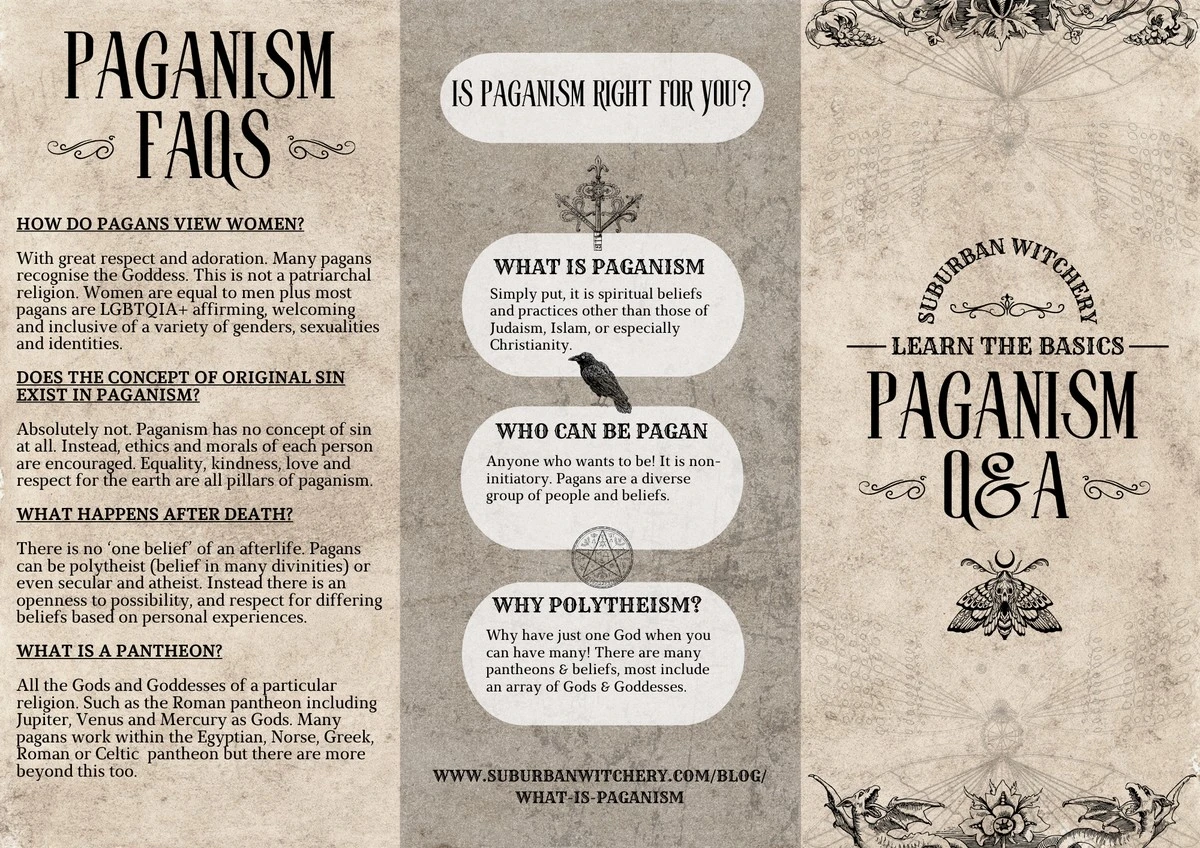 proczkusenizahr-extra-2.webp Proč zkušení zahrádkáři dávají na jaře větvičku vrby na zahradu - image 2