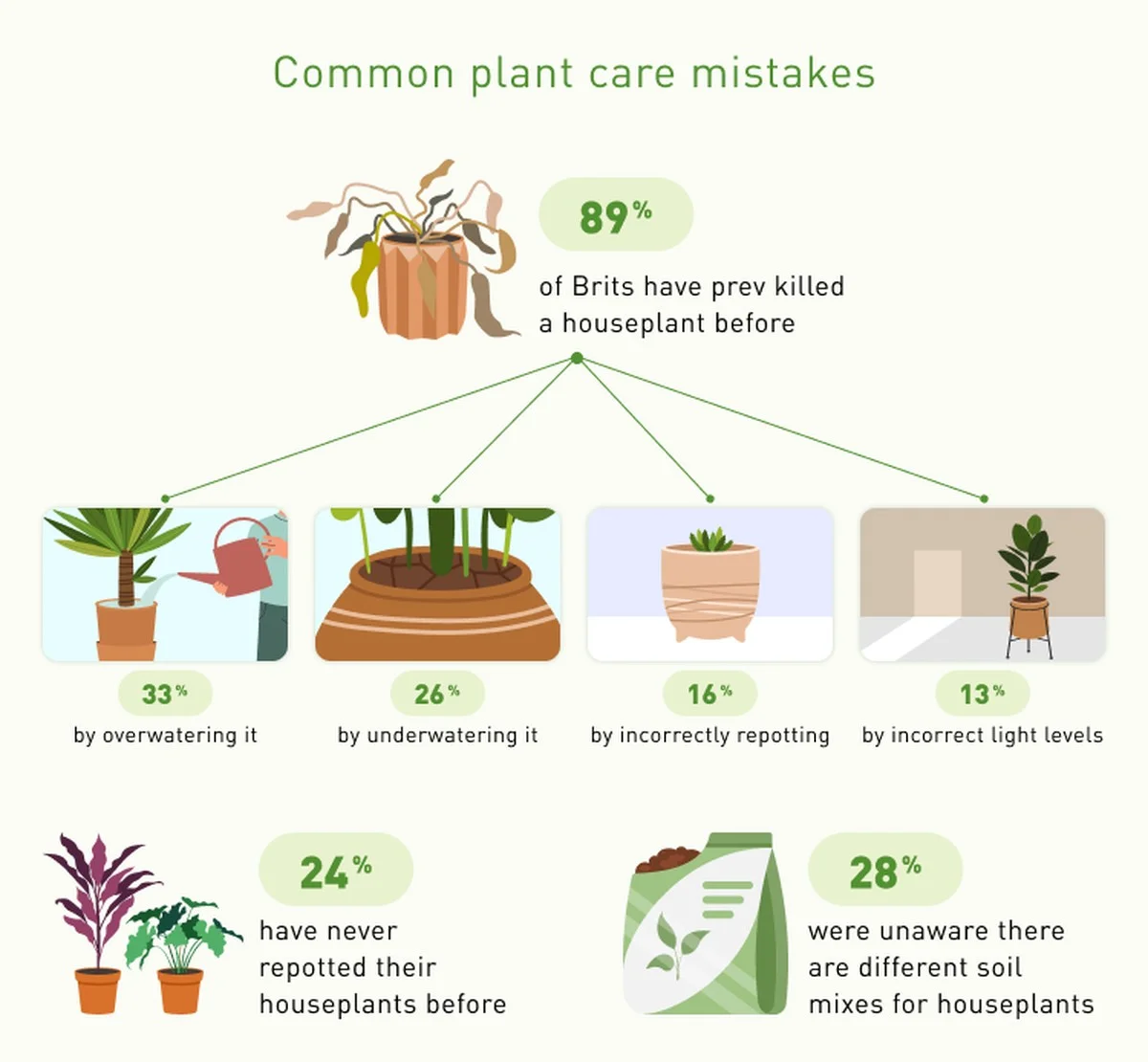 procsepokojover-extra-1.webp Proč se pokojové rostliny vytahují do délky a blednou? Možná je na vině tato chyba s pěstebními světly - image 1