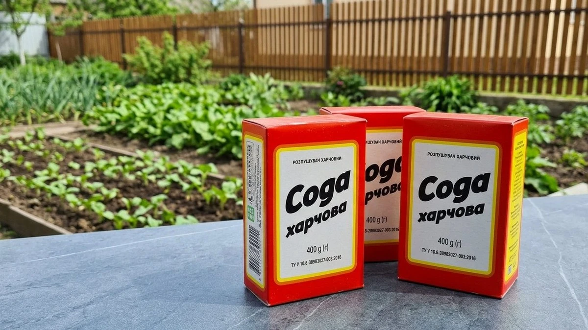 10 неочевидних способів використання соди: від городу до спальні