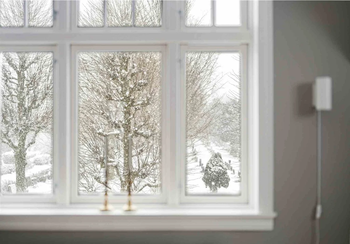 Proč zkušené hospodyňky dávají na okenní parapet sůl a bobkový list: zimní trik proti vlhkosti - image 1