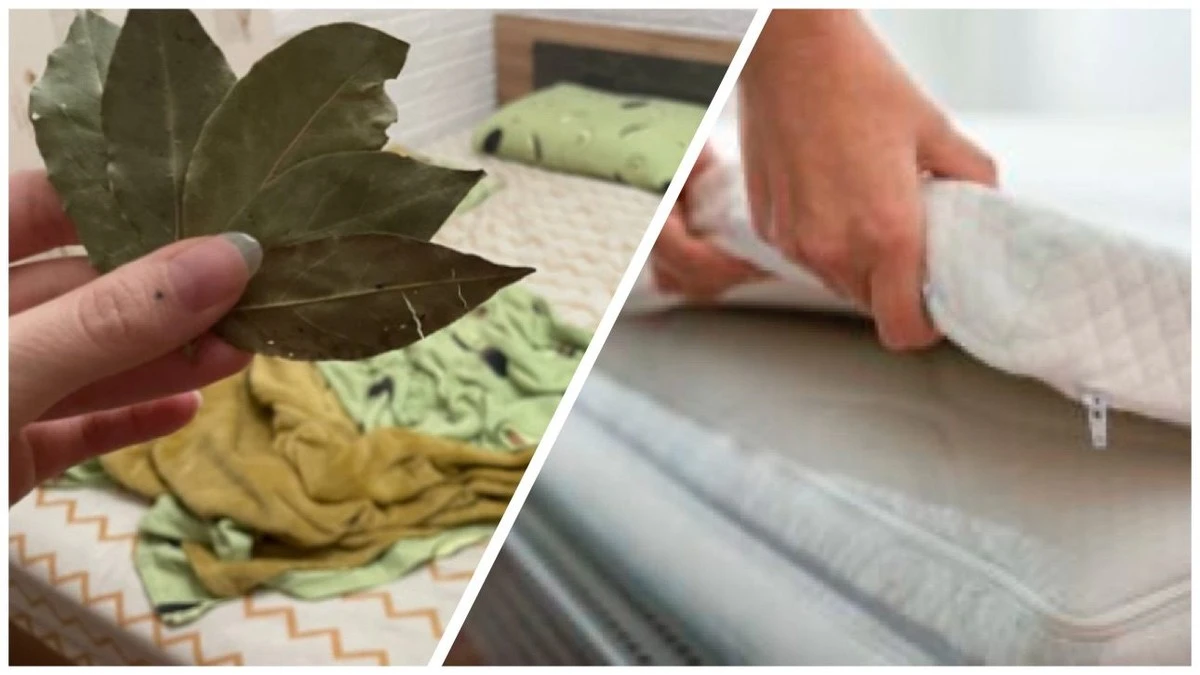 Proč babičky dávaly 7 bobkových listů pod matraci – teď to dělám taky každou sobotu