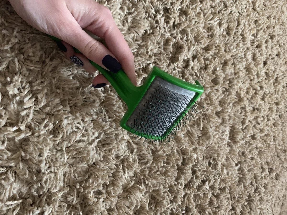 Už žádná drahá čistírna: Jediná lžíce sody vrátí kobercům objem a vůni