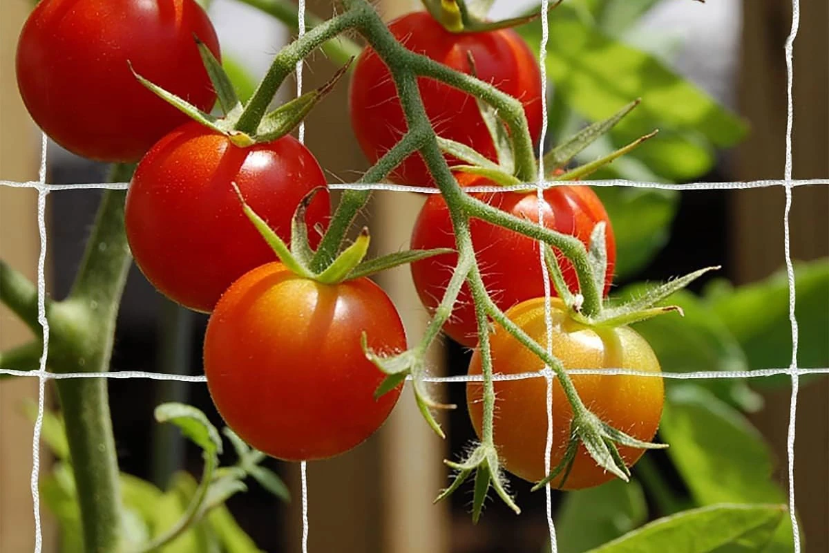 14 zahradních vychytávek z Amazonu do 400 Kč: Zlevněno pro vaši zeleň!