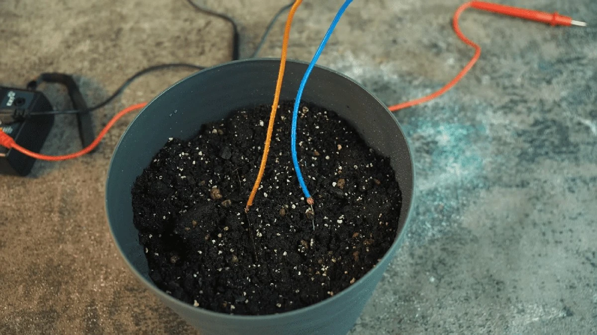 Pět plechových desek v květináči vyrobí 7 voltů: Muž nevěřil, jak nabije telefon ze země