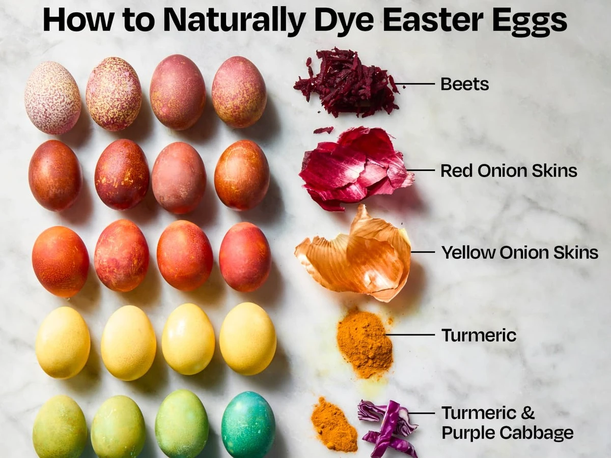 proczkusenehosp-extra-2.webp Proč zkušené hospodyňky sypou na velikonoční vajíčka kurkumu a špenát místo cibulových slupek - image 2