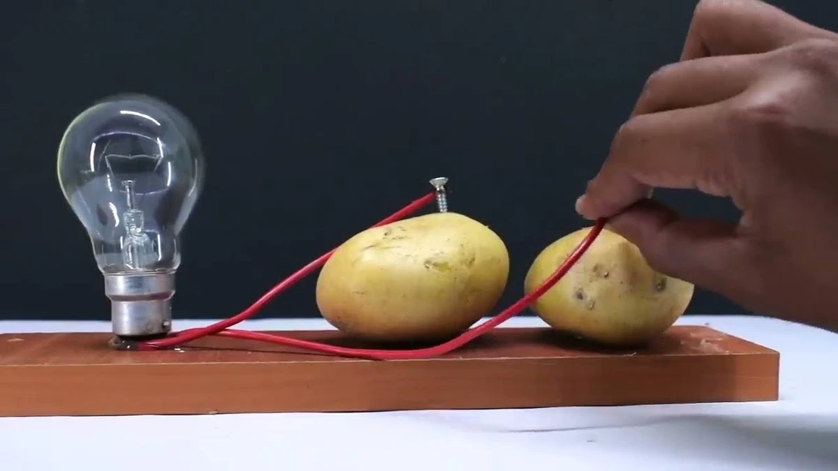 Brambora napájená pomocí fólie rozsvítí lampu na 220V: Podívejte se, jak tento trik funguje! - image 1