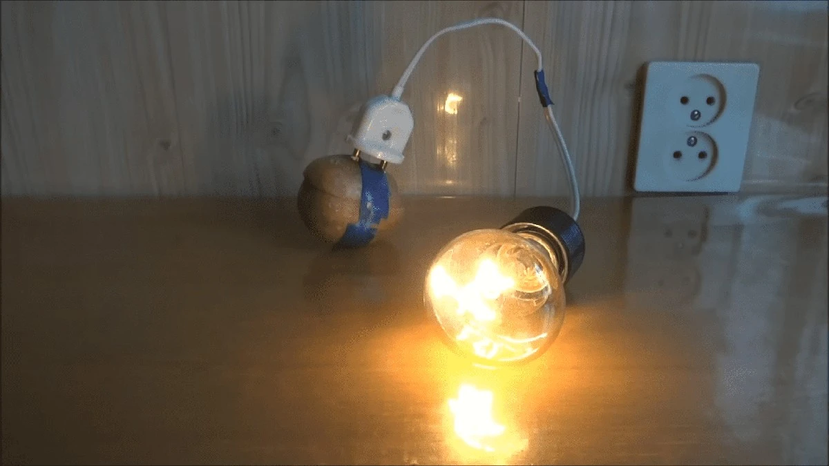 Brambora napájená pomocí fólie rozsvítí lampu na 220V: Podívejte se, jak tento trik funguje!