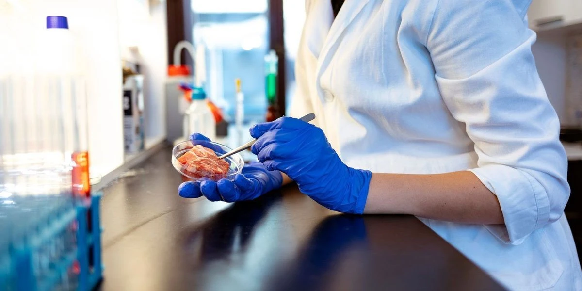 Jedna lžička + kapka jodu: jak odhalit podvod na trhu a ochránit své zdraví - image 2