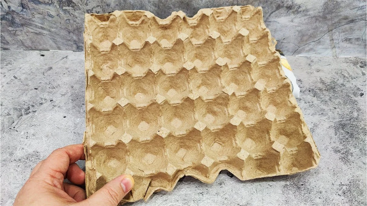 Proč zkušení domáci dávají kartony od vajec do sklepa: trik proti vlhkosti a plísním, který stojí za to znát