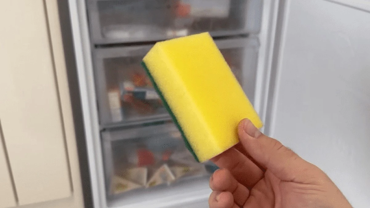 Proč dávat nový houbičku na nádobí do mrazáku: Nečekané řešení kuchyňské vlhkosti