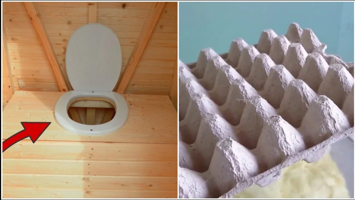 Papírové tácky od vajec s octem: 2 minuty a zápach na chatě zmizel