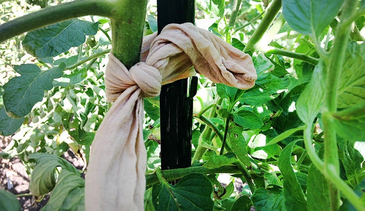 9 geniálních triků s nylonovými punčochami, o kterých jste nevěděli - image 1