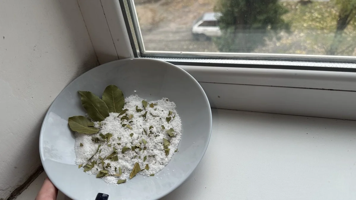 Proč zkušení Češi dávají sůl a bobkový list na okenní parapet během zimy