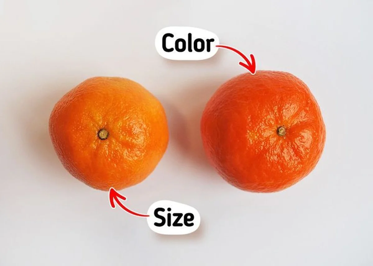 Proč zkušení kupující v Praze berou mandarinky s 