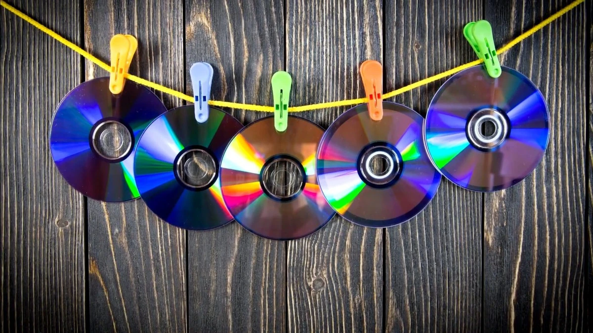 Proč zkušení zahrádkáři věší staré CD nad jahody – ptáky to odradí spolehlivěji než pasti